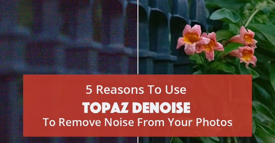 5 Ways Topaz DeNoise Can Improve Your Photos