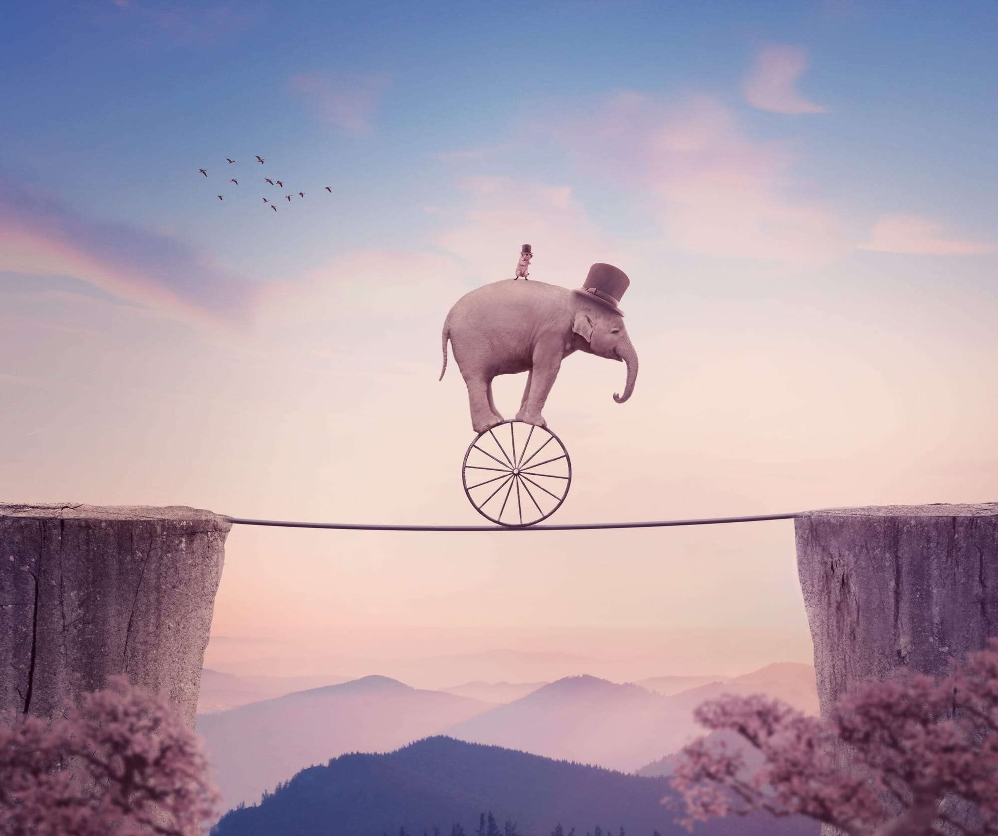 How to Create a Surreal Elephant Photo Manipulation with Adobe Photoshop