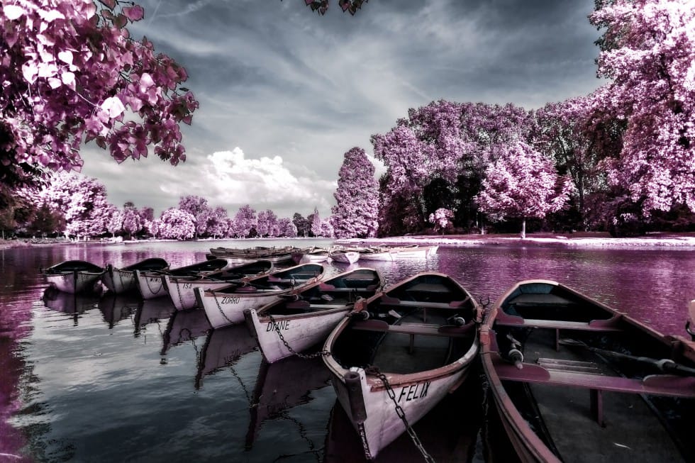 Create a Beautiful Infrared Effect in Photoshop