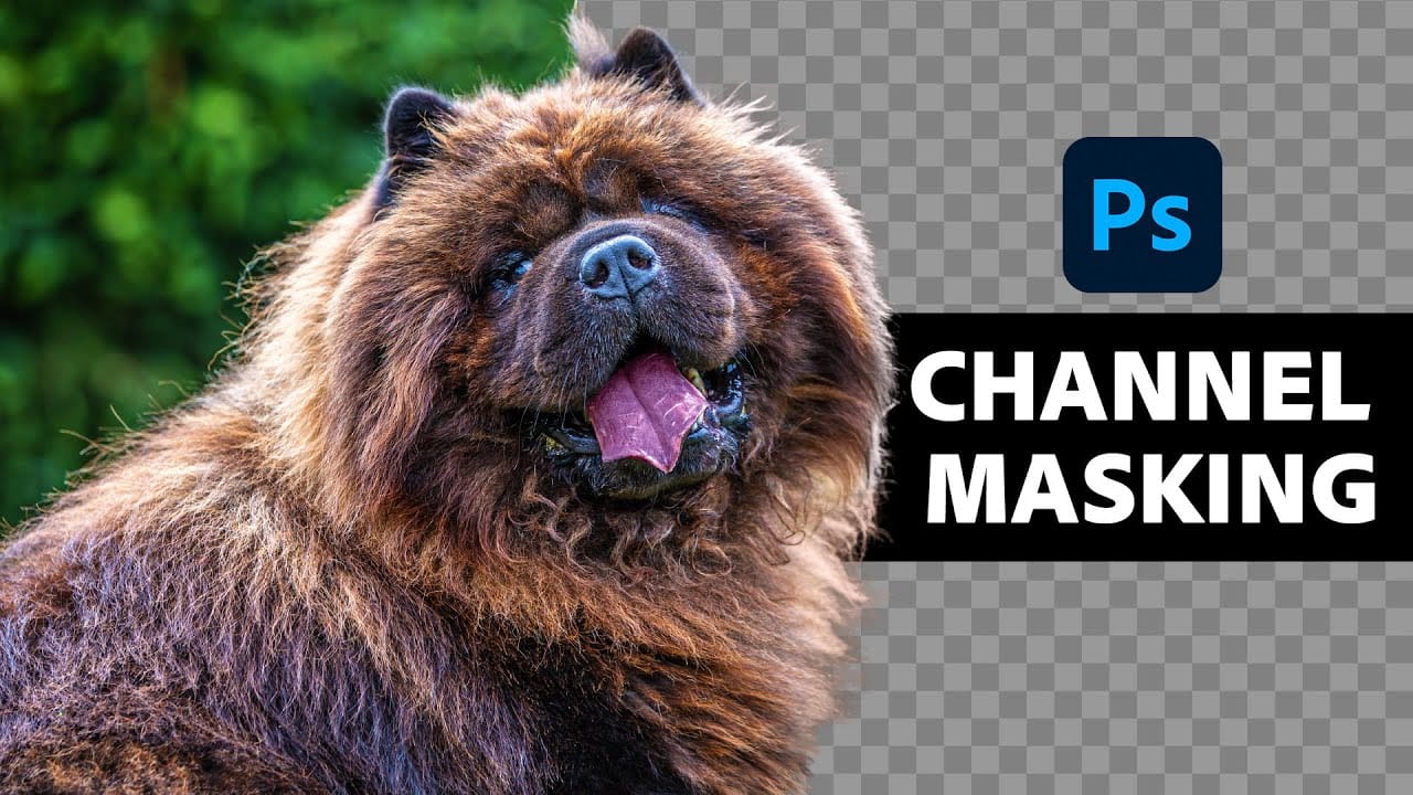 Insanely difficult selections made easy with Alpha Channels in Photoshop